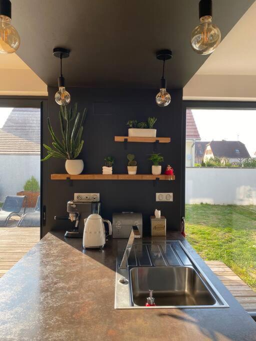 Maison D'Architecte Situee Sur La Route Des Vins Châtenois Esterno foto
