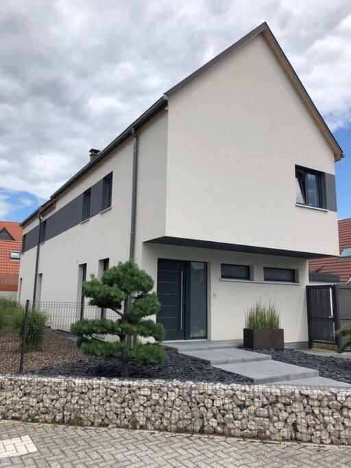 Maison D'Architecte Situee Sur La Route Des Vins Châtenois Esterno foto